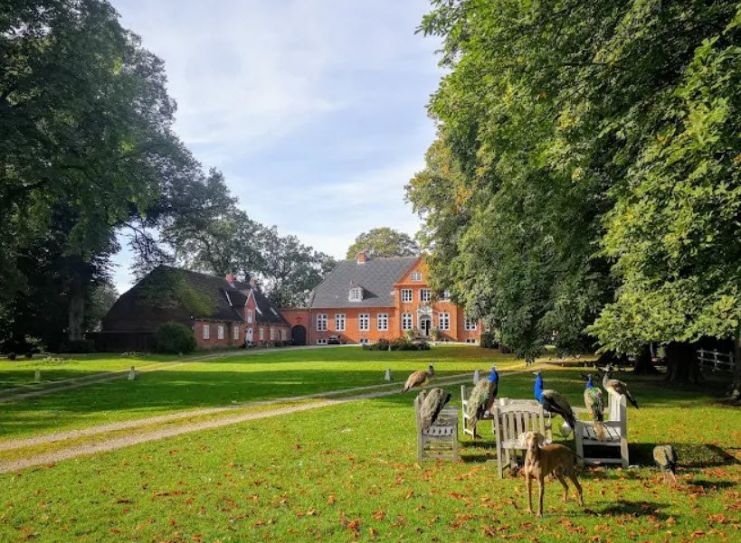 Wein-Gut Eckhof, Strande, Germany, Germany